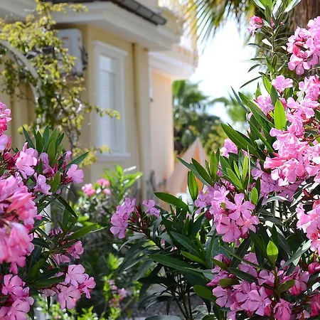 Vila Honeymoon